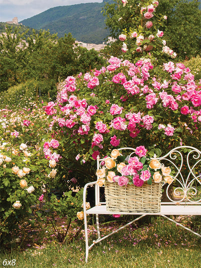 Blooming Rose Garden Photography Backdrop - Photography backdrop featuring a picturesque garden scene with blooming pink roses, a white ornate garden bench, and a wicker basket filled with roses.