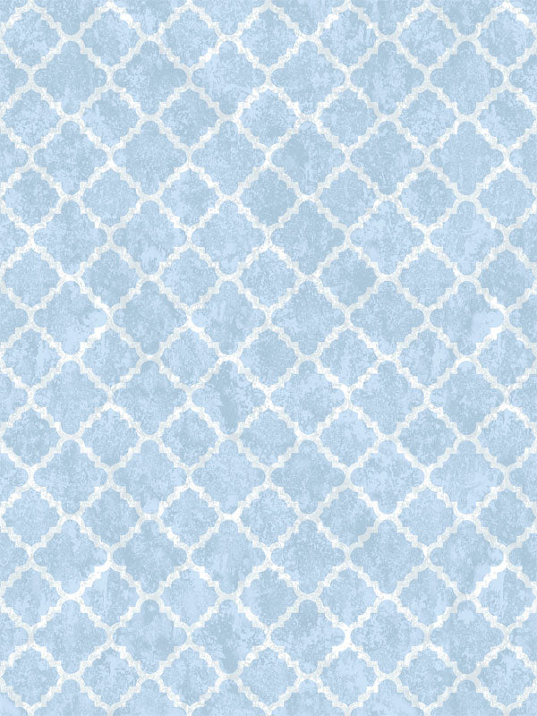 Blue Moroccan Quatrefoil Photography Backdrop - Soft blue Moroccan quatrefoil pattern photography backdrop for professional photoshoots.