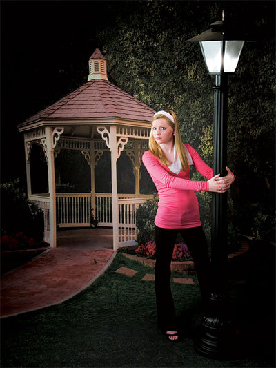 Brick-paved path leading to gazebo with trimmed hedges and soft greenery.