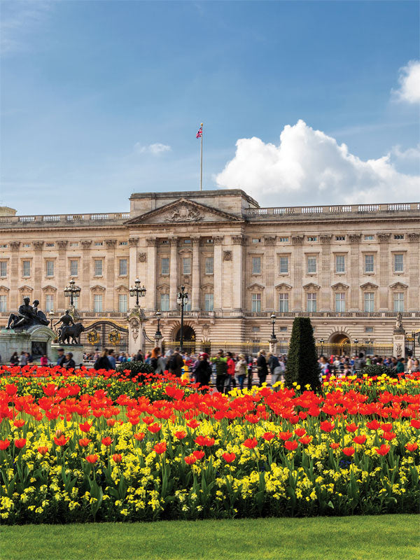 Buckingham Palace Garden Photography Backdrop - Photography backdrop featuring Buckingham Palace and its garden of red tulips and yellow daffodils, perfect for elegant shoots.