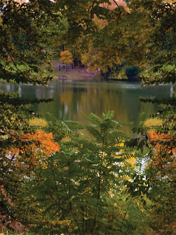 Scenic fall park with lake reflections, layered foliage, and golden leaves.