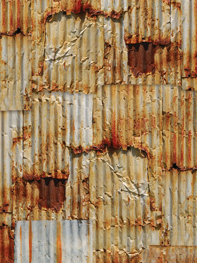 Rusted Out Printed Photography Backdrop