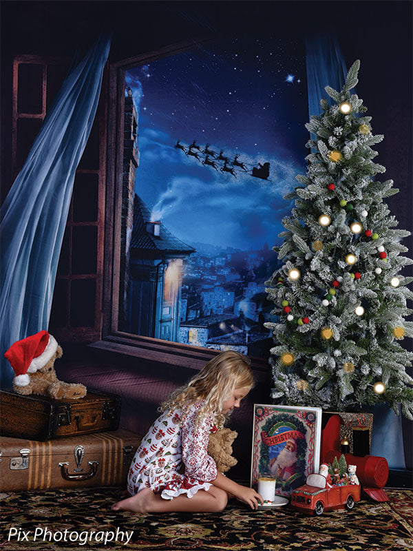 Christmas Window Printed Photography Backdrop