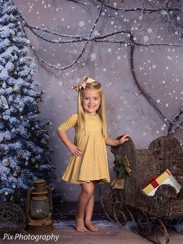 Christmas Chateau Photo Background