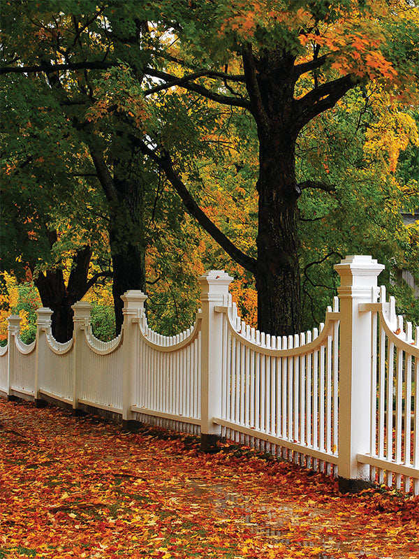 Autumn Fence Printed Photo Backdrop