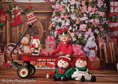 Gingerbread Christmas Printed Photo Backdrop