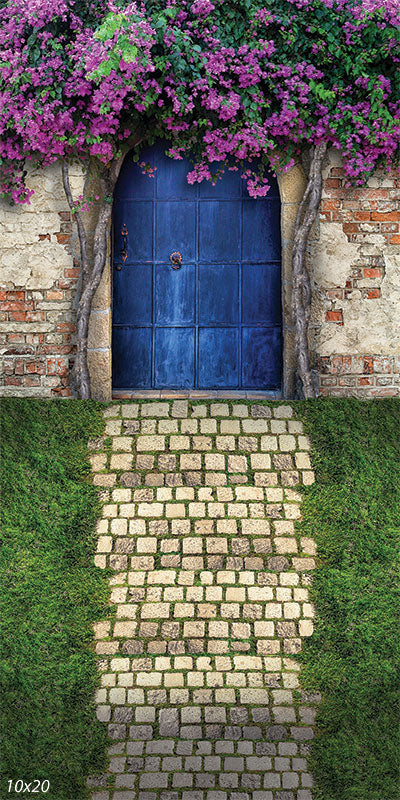 Door Photography Backdrop - Spring Blue Door