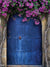Door Photography Backdrop - Spring Blue Door