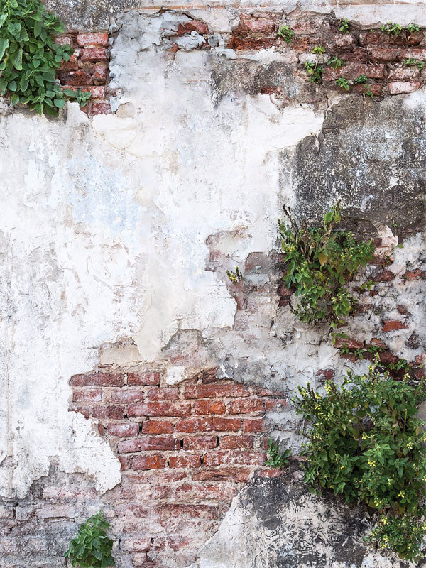 white brick exposed wall backdrop