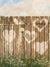 Rustic Valentine Printed Photo Backdrop