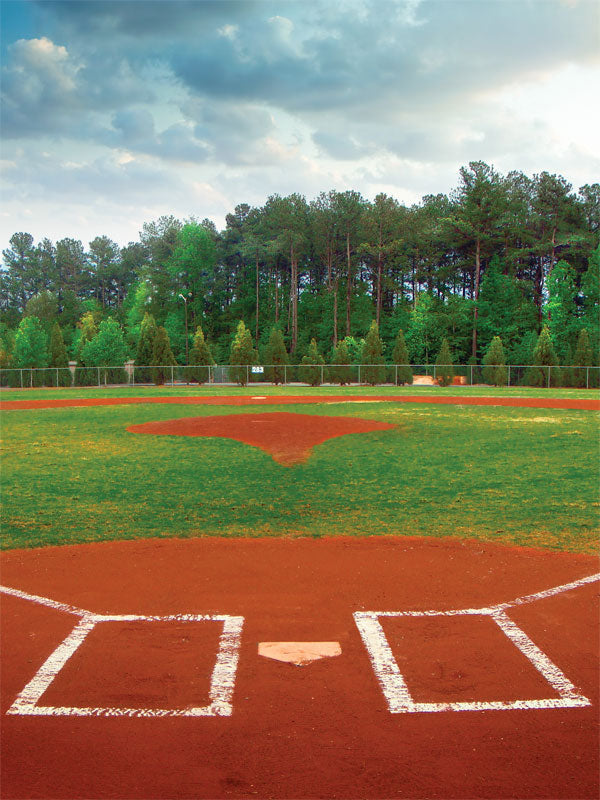 Baseball Park Photo Backdrop