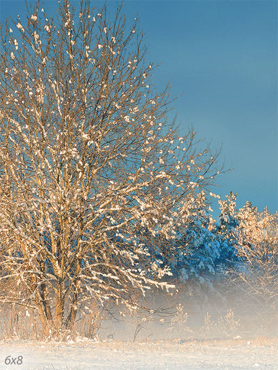 Snowy Winter Morning Backdrop