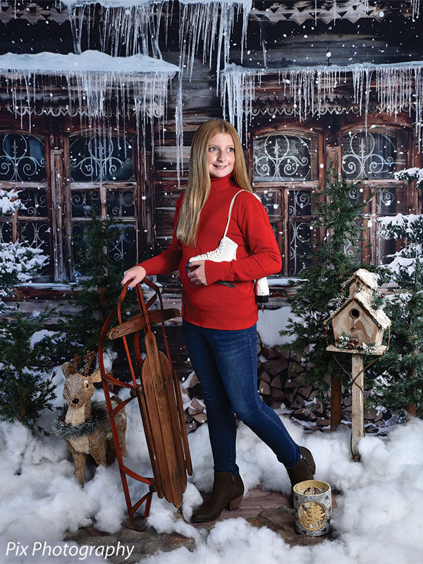 Rustic Winter Cabin Backdrop - Denny Manufacturing