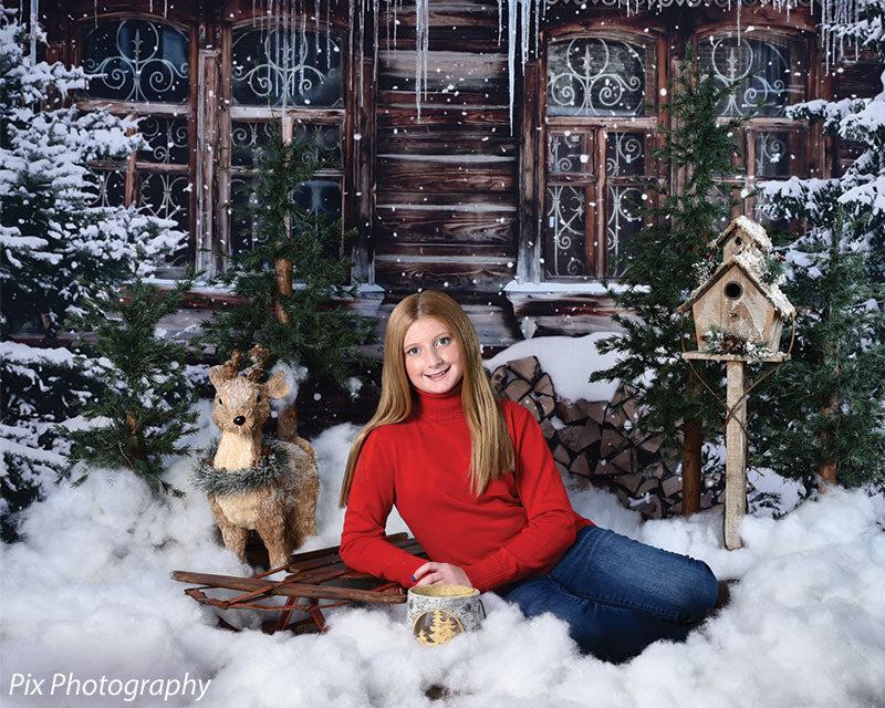 Rustic Winter Cabin Backdrop