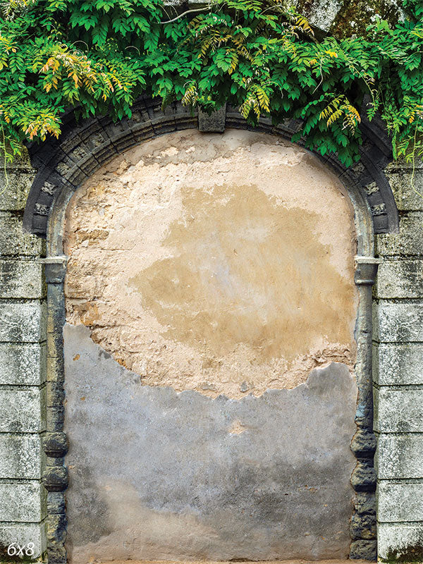 Plaster Arch Wall Printed Backdrop