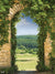 Stone Archway Printed Backdrop