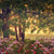 Field of Roses Background for Photography