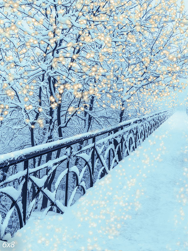 Snowy Bridge Backdrop for Photography