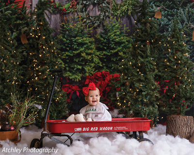 Girl in wagon shopping for christmas tree