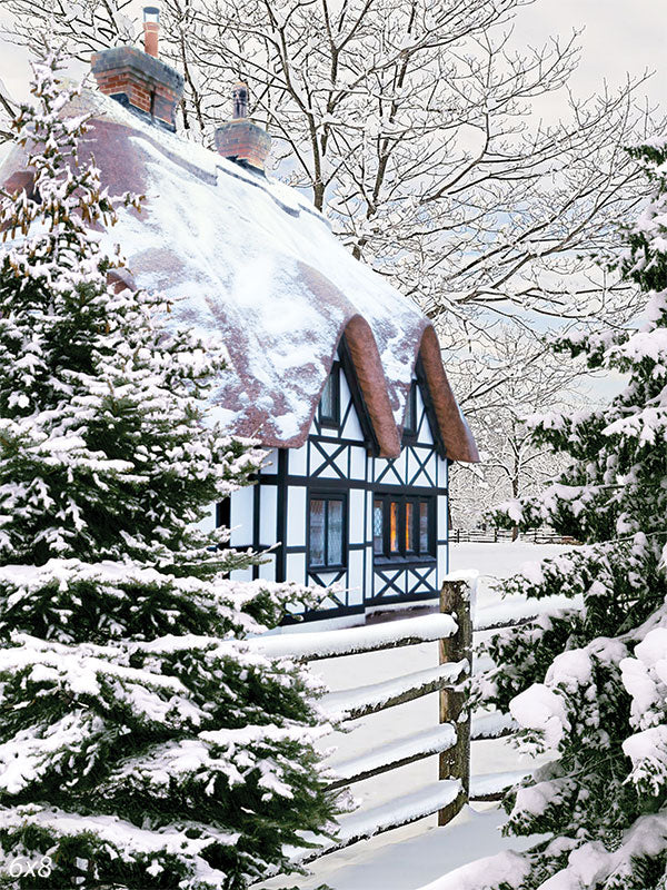 Snowy Cottage Backdrop for Photography