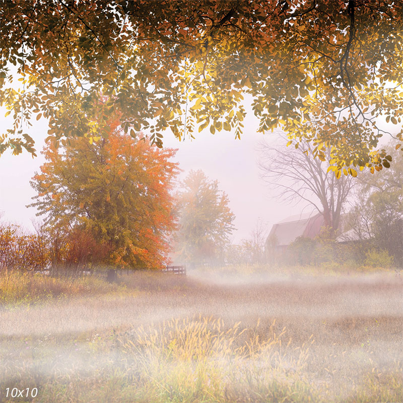 Fall Mist Background