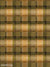 Cowboy Plaid Backdrop for Photography