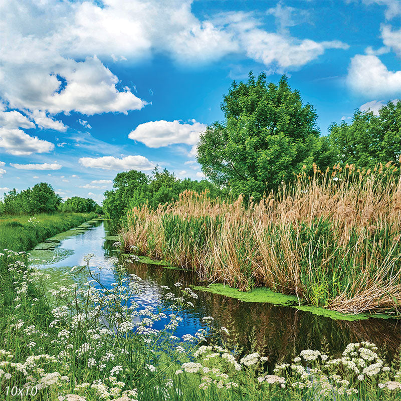 Spring Creek Photography Backdrop