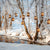 Winter Stream Background for Photography