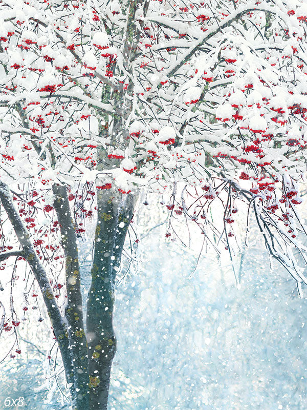 https://dennymfg.com/cdn/shop/products/CP8276-Winter-Berries-Backdrop-6x8_1600x.jpg?v=1657317366