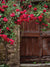 Rustic Roses Backdrop
