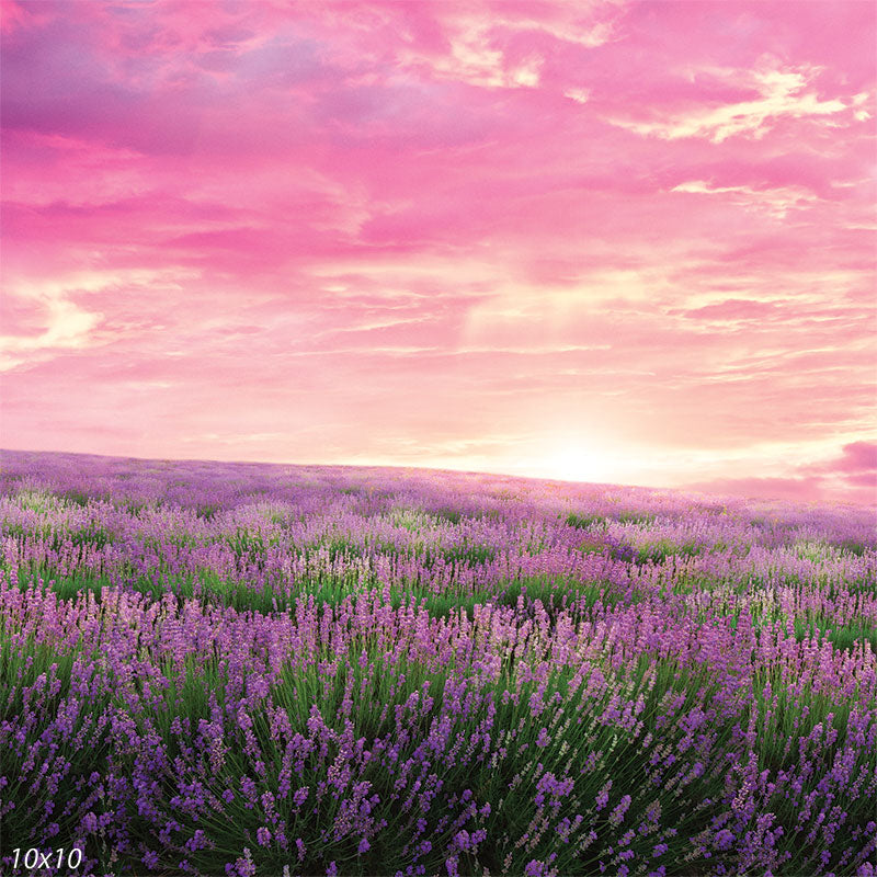 Lavender Blooms Backdrop