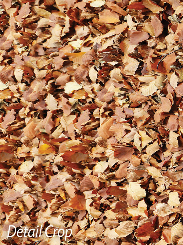 Fall Leaves Photography Floor Drop