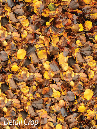 Autumn Leaves Photography Floor Drop