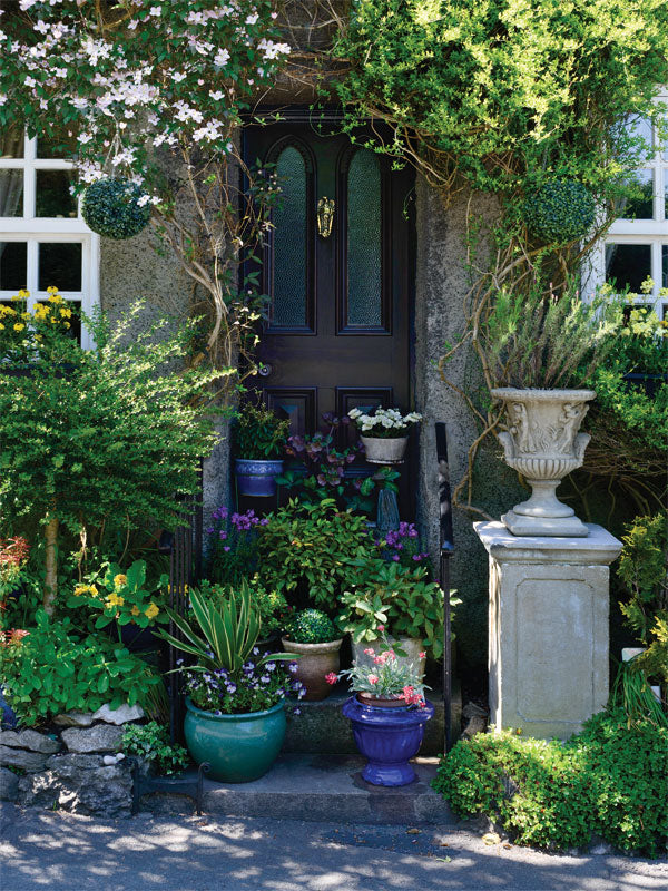 Charming Cottage Door Photography Backdrop - Photography backdrop featuring a rustic cottage door with climbing vines and potted plants, ideal for garden-themed photoshoots.