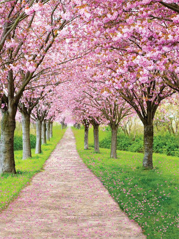 Cherry Blossom Path Photography Backdrop - Photography backdrop featuring a beautiful cherry blossom path with blooming pink trees and a petal-covered walkway, ideal for spring photoshoots.