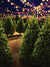 Christmas Tree Lot Night Photography Backdrop - A Christmas tree lot backdrop with glowing holiday lights, perfect for creating festive photoshoots.