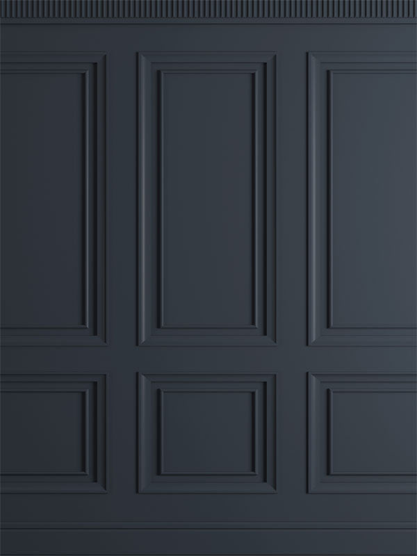 Classic Black Paneling Photography Backdrop - Classic black paneling photography backdrop, ideal for formal and modern photoshoots.