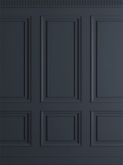 Classic Black Paneling Photography Backdrop - Classic black paneling photography backdrop, ideal for formal and modern photoshoots.