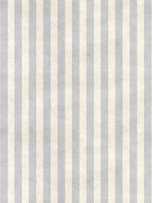 Classic Grey Striped Photography Backdrop - Minimalist grey and ivory striped backdrop ideal for professional photoshoots.