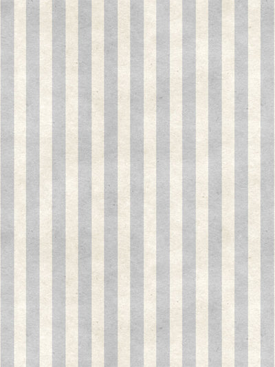 Classic Grey Striped Photography Backdrop - Minimalist grey and ivory striped backdrop ideal for professional photoshoots.