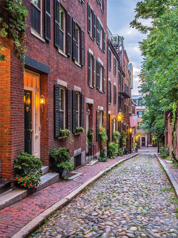 Cobblestone Street in Historic City Photography Backdrop - Cobblestone street in a historic city with red brick buildings and street lanterns, perfect for vintage, family, and urban-themed photoshoots.