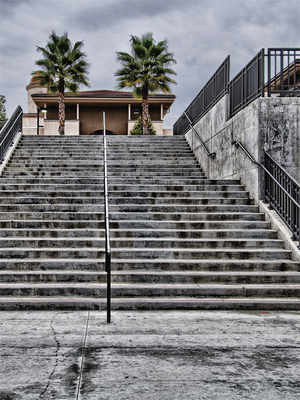 Concrete Steps Urban Photography Backdrop - Wide concrete staircase with metal railings leading to a building with two palm trees, under an overcast sky.