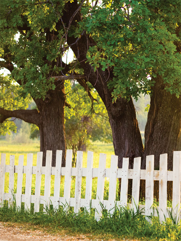 Country Fence and Tree Photography Backdrop - Photography backdrop featuring a white picket fence and green trees, ideal for family or children’s outdoor-themed photoshoots.