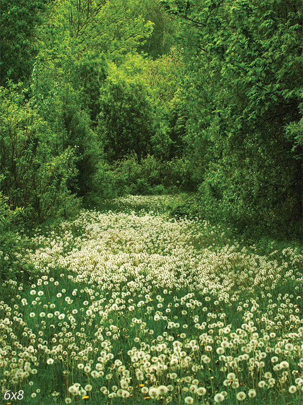 Dandelion Meadow Photography Backdrop - Photography backdrop featuring a lush green meadow with white dandelions and tall trees.