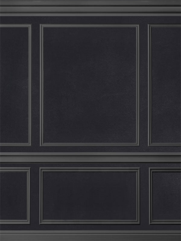 Dark Elegant Paneled Wall Photography Backdrop - A sleek, dark charcoal paneled wall backdrop with elegant molding, perfect for high-end portrait or product photography.