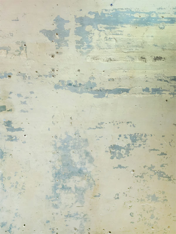 Felicia Drop Printed Photography Backdrop - Denny Manufacturing