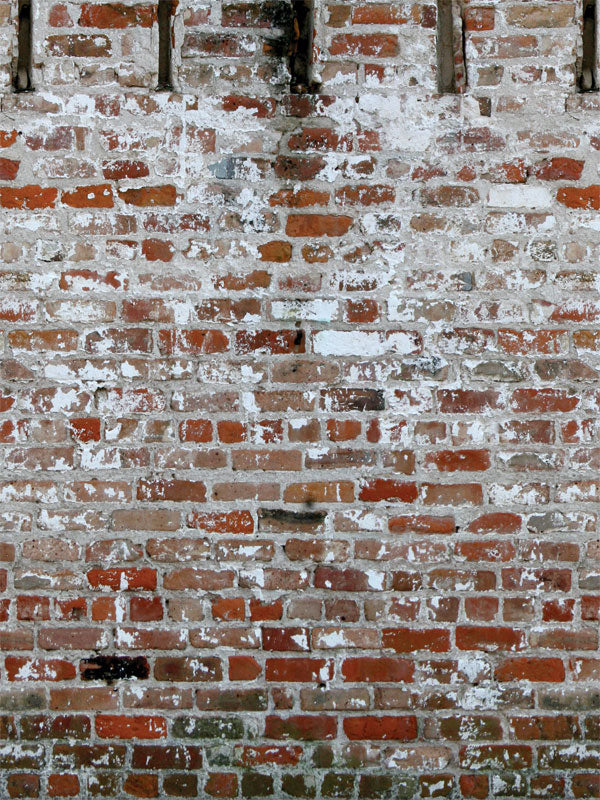 Weathered brick wall backdrop with aged whitewash and rustic tones.