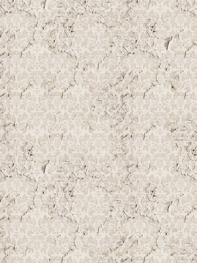 Distressed Floral Texture Photography Backdrop - Distressed floral textured photography backdrop in neutral beige tones, perfect for vintage-inspired professional photoshoots.