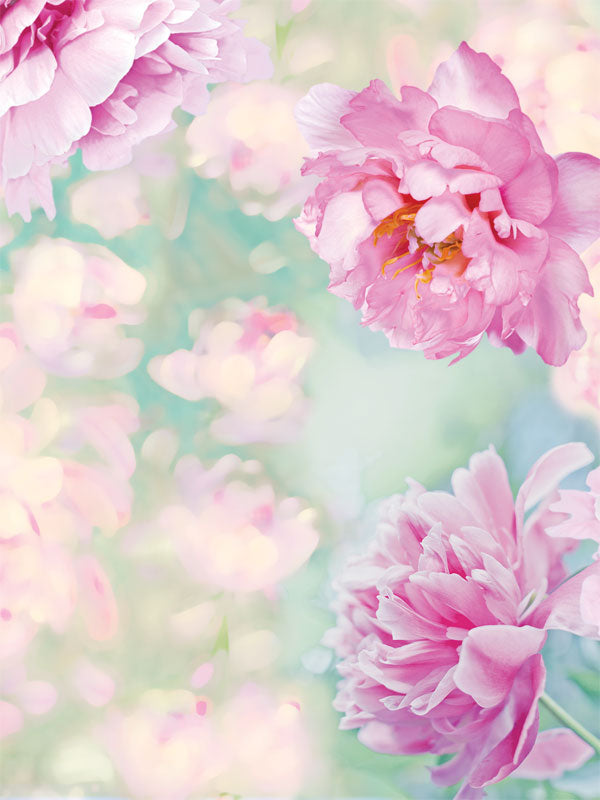 Dreamy Pink Peonies Photography Backdrop - Dreamy floral photography backdrop featuring soft pink peonies with a blurred pastel background, perfect for romantic and children’s photoshoots.