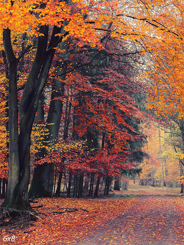 Enchanted Autumn Forest Photography Backdrop - An autumn forest photography backdrop featuring a winding path surrounded by trees with vibrant orange, red, and yellow foliage.